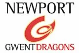 Dragons team badge