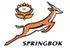 Click for more info on south africa rugby